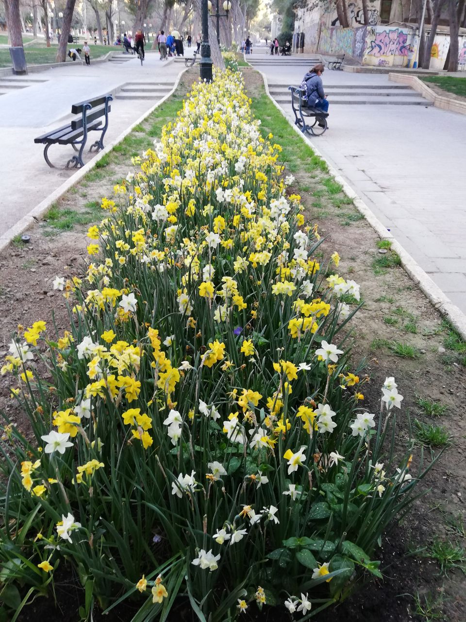Ruta de los tulipanes en el Parque Pignatelli. 